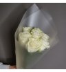 Семь Белых Ноктюрнов 1