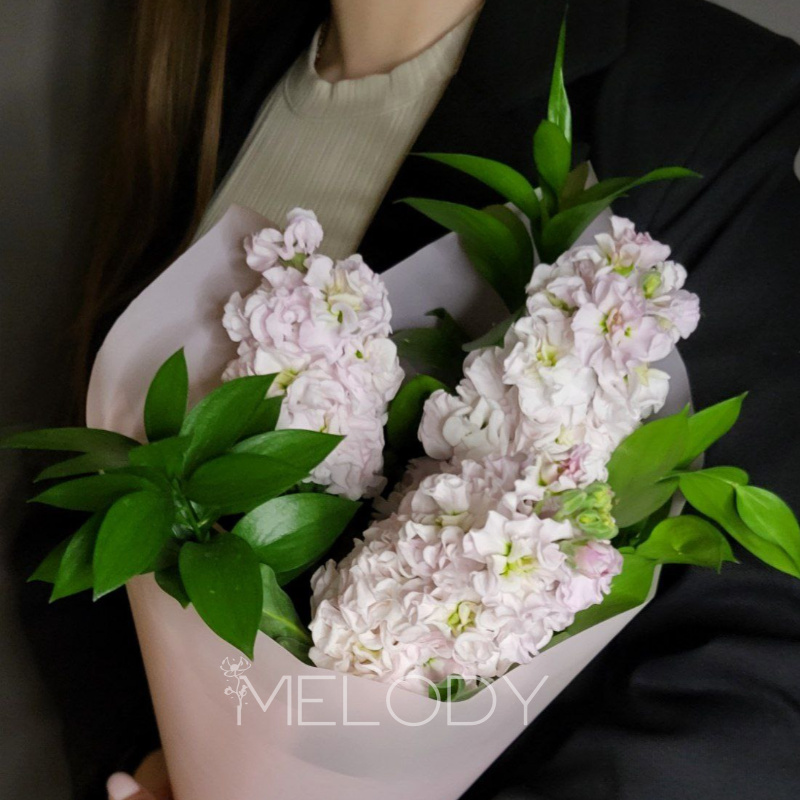 Трио в лунном свете 1