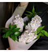 Трио в лунном свете 1