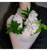 Трио в лунном свете