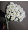Белая симфония 2