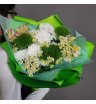 Весенний квинтет 1