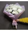 Серенада Облаков 1