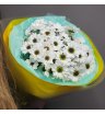 Жёлтый Септет: 7 Колокольчиков Счастья 2