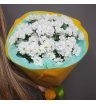 Одиннадцать Солнечных Симфоний в Жёлтом Конверте