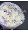 Прелюдия Сиреневых Снов 4