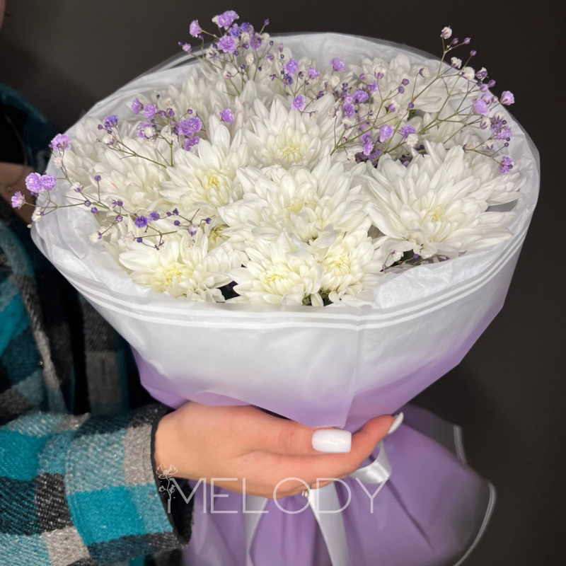 Прелюдия Сиреневых Снов 1