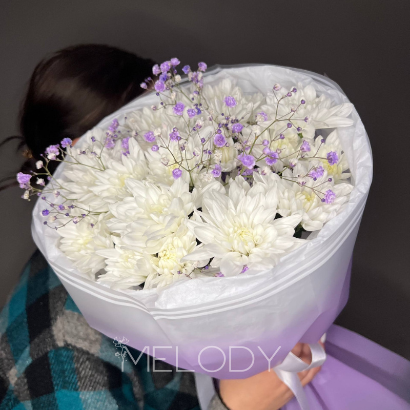 Прелюдия Сиреневых Снов