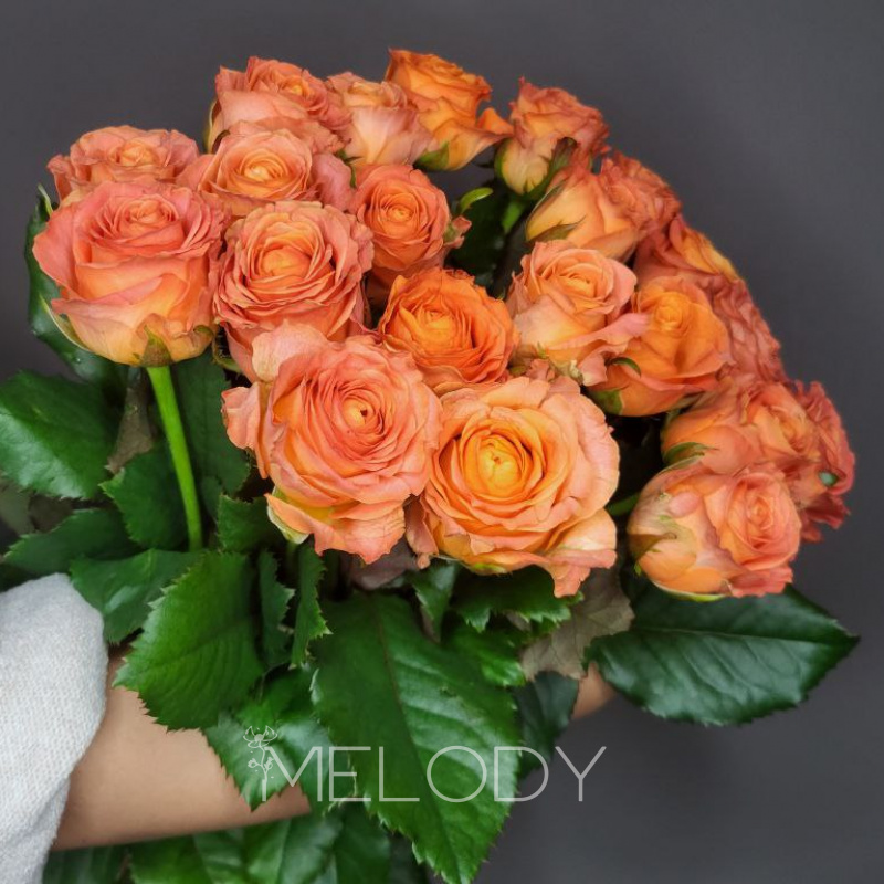 Симфония солнца: 21 оранжевая роза для торжества 2