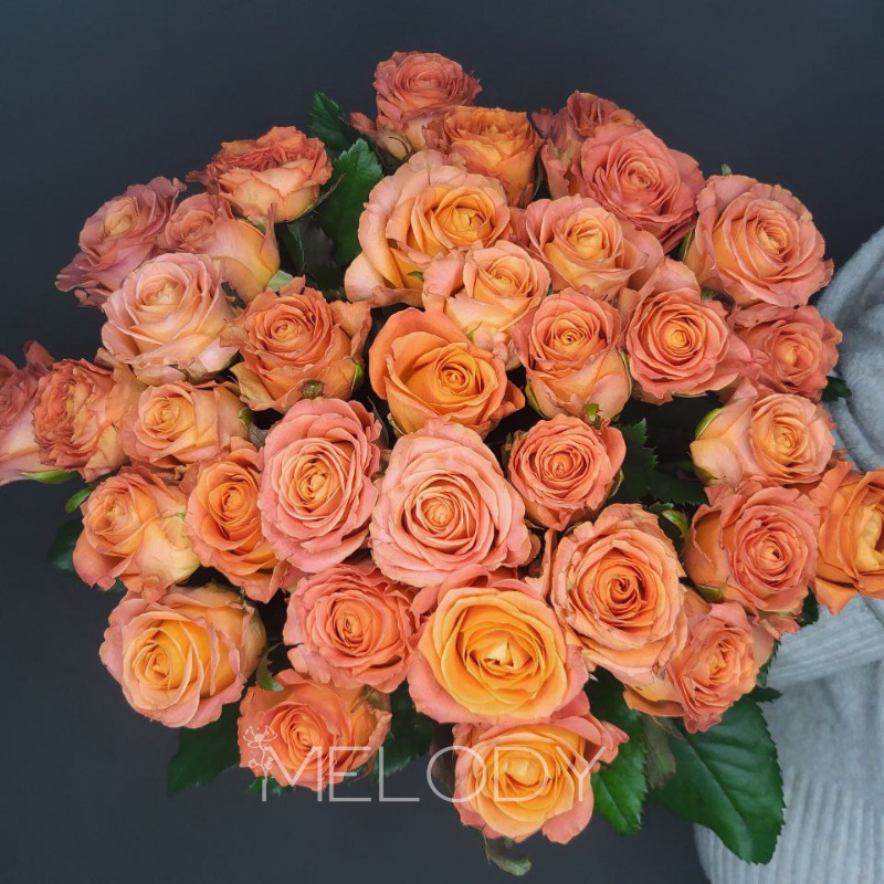 Симфония страсти: 37 оранжевых роз с лентой