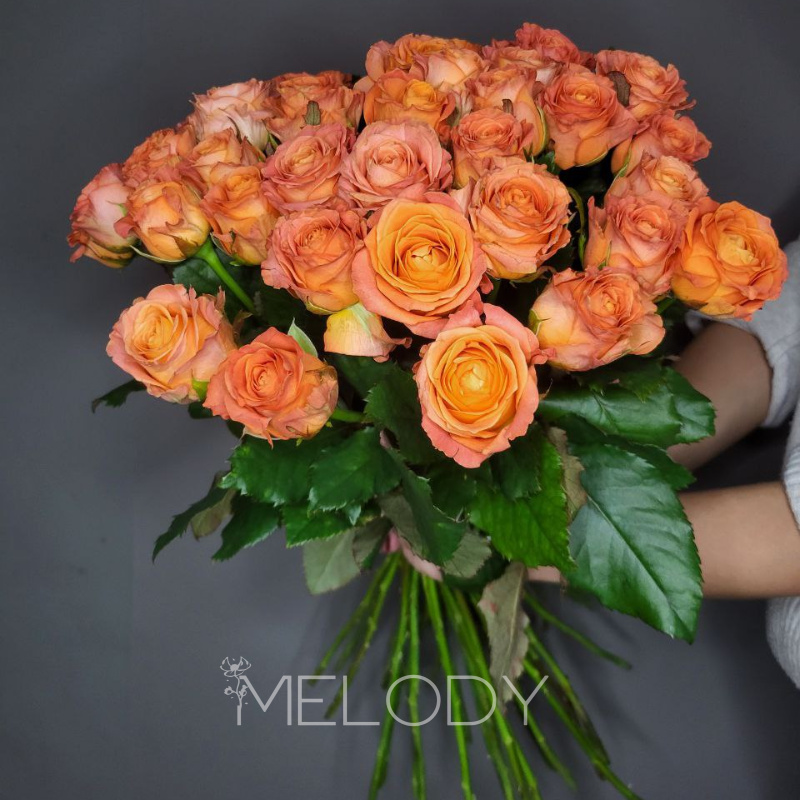 Симфония страсти: 37 оранжевых роз с лентой 3