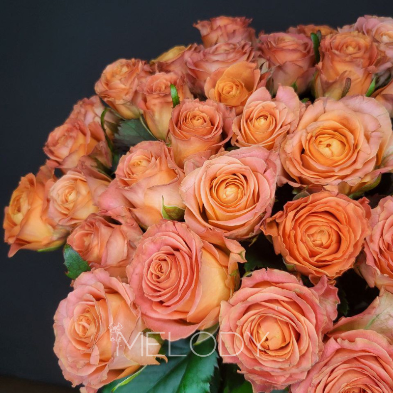 Оранжевая поэма: 45 роз в гармонии с солнцем 2