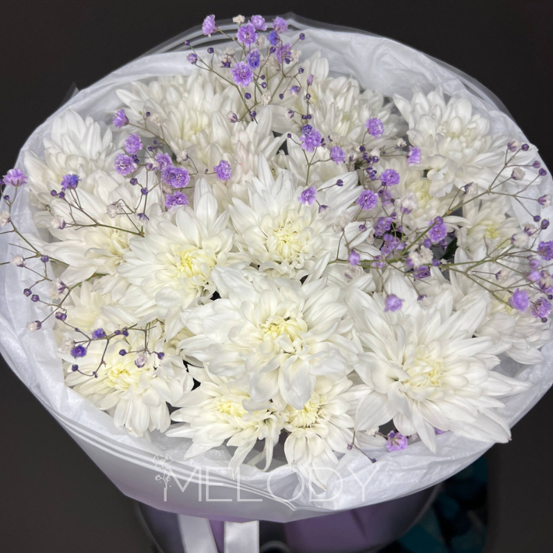 Сиреневая палитра: 5 хризантем и 2 гипсофилы 2