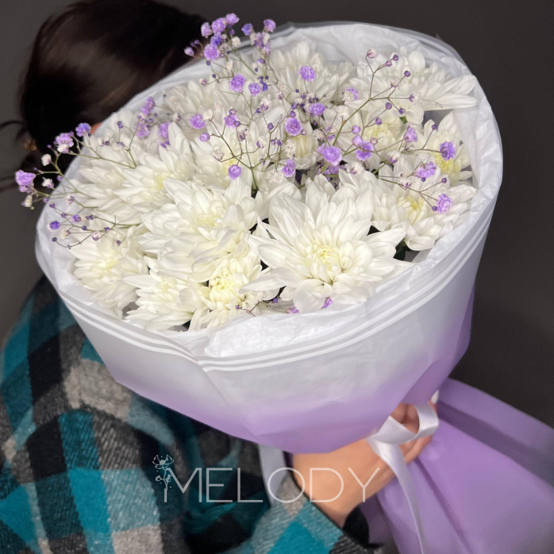 Сиреневая палитра: 5 хризантем и 2 гипсофилы