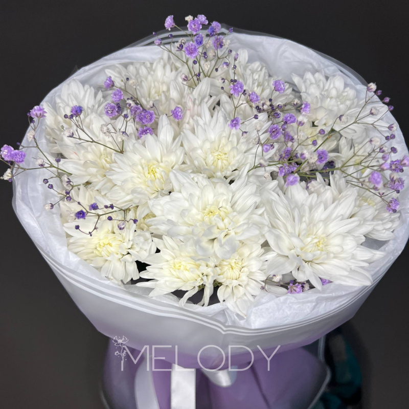 Сиреневая палитра: 5 хризантем и 2 гипсофилы 1