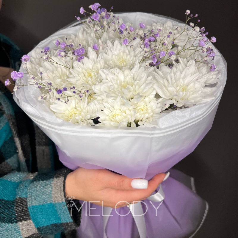 Сиреневая палитра: 5 хризантем и 2 гипсофилы 3