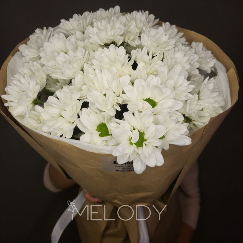 Луговая баллада: 7 нежных ромашек