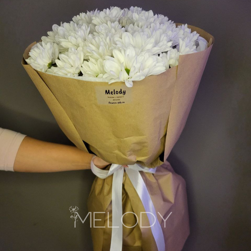 Луговая баллада: 7 нежных ромашек 2