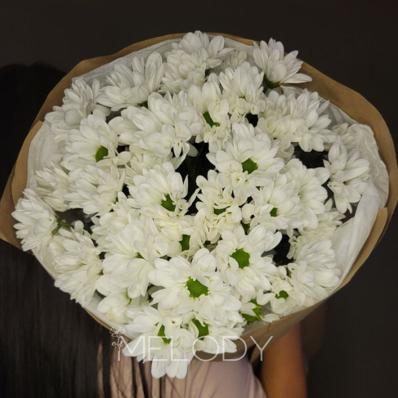 Луговая баллада: 7 нежных ромашек 1