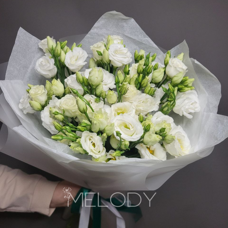 Элегия нежности: 9 эустом в белом