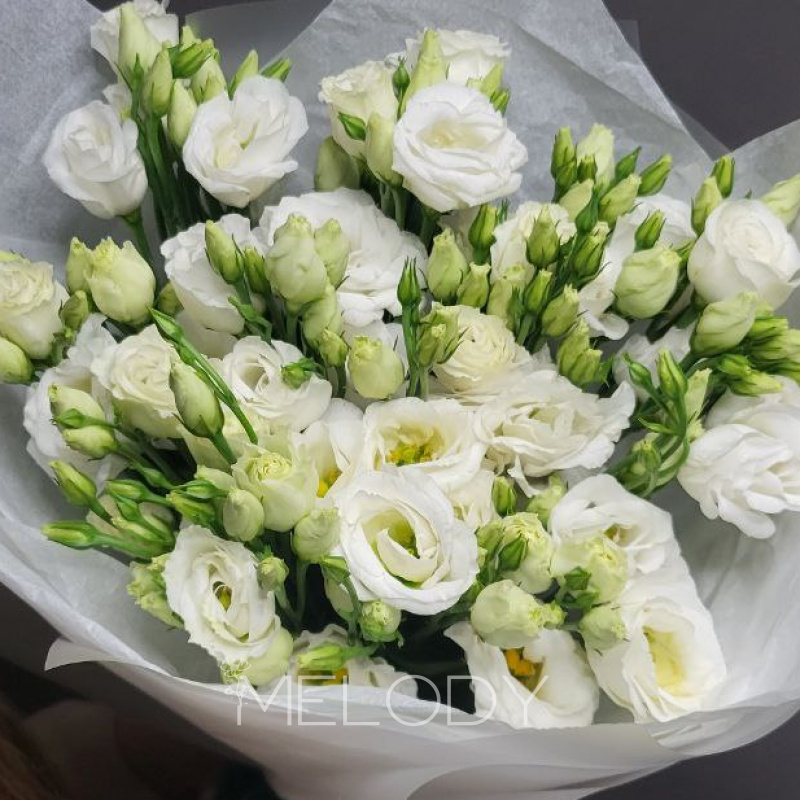 Элегия нежности: 9 эустом в белом 3