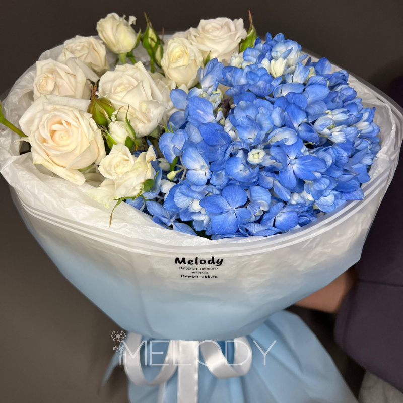 Утренняя серенада в голубых тонах 1